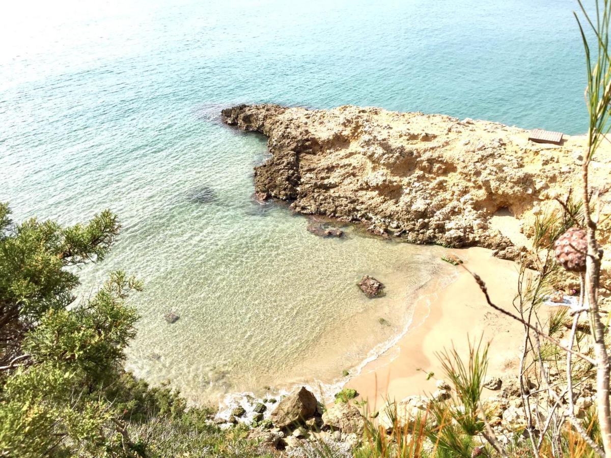 Synergie Si01 - Ideal Para Descansar Salou Zewnętrze zdjęcie